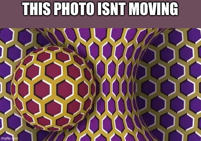 illusion agian | THIS PHOTO ISNT MOVING | image tagged in illuison | made w/ Imgflip meme maker