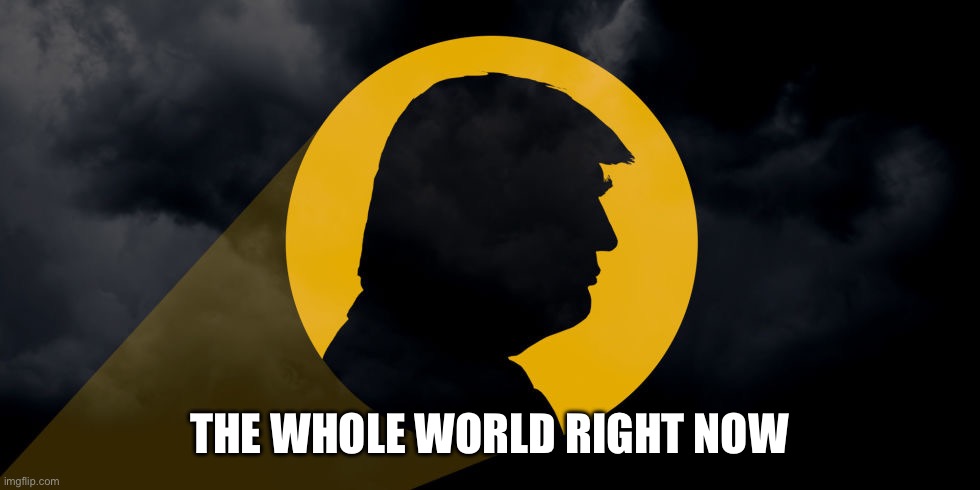 Trump | THE WHOLE WORLD RIGHT NOW | image tagged in trump signal | made w/ Imgflip meme maker