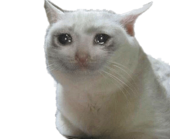 crying cat Blank Meme Template