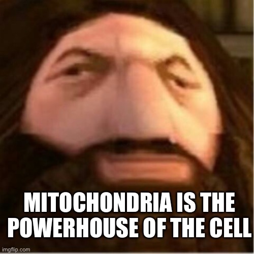yes. | MITOCHONDRIA IS THE POWERHOUSE OF THE CELL | image tagged in ps1 hagrid | made w/ Imgflip meme maker