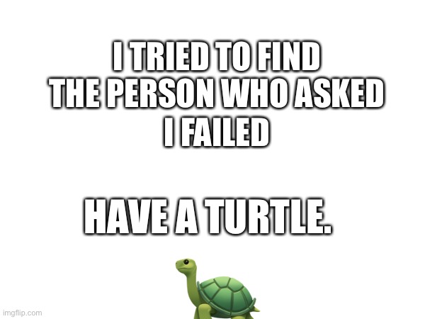 I TRIED TO FIND THE PERSON WHO ASKED I FAILED HAVE A TURTLE. ? | made w/ Imgflip meme maker