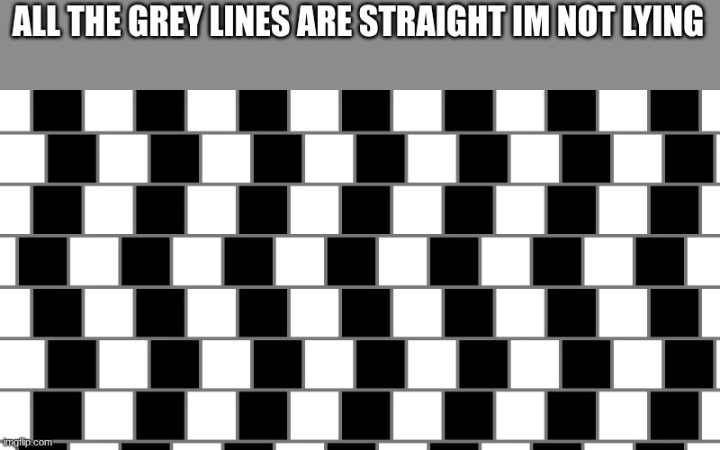 ALL THE GREY LINES ARE STRAIGHT IM NOT LYING | made w/ Imgflip meme maker