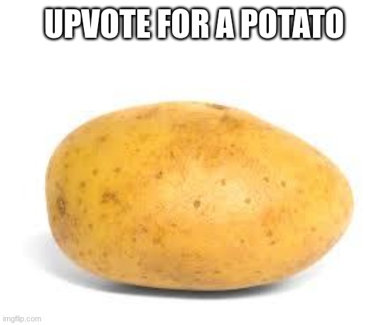 proof people will literally upvote anything | UPVOTE FOR A POTATO | image tagged in potato,memes,funny,cats,upvotes,upvote | made w/ Imgflip meme maker