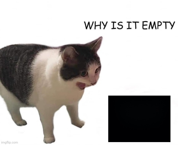 Why is it empty | image tagged in why is it empty | made w/ Imgflip meme maker