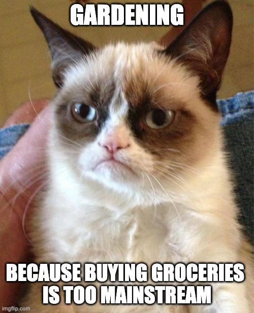 Grumpy Cat | GARDENING; BECAUSE BUYING GROCERIES 
IS TOO MAINSTREAM | image tagged in memes,grumpy cat | made w/ Imgflip meme maker