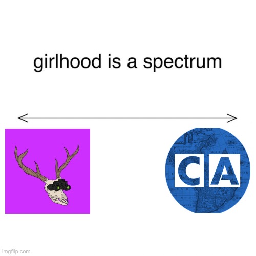 girlhood is a spectrum | image tagged in girlhood is a spectrum,youtubers,youtube,funny memes,memes,shitpost | made w/ Imgflip meme maker