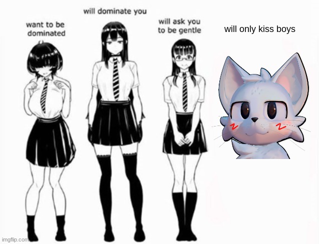 Domination stats | will only kiss boys | image tagged in domination stats | made w/ Imgflip meme maker