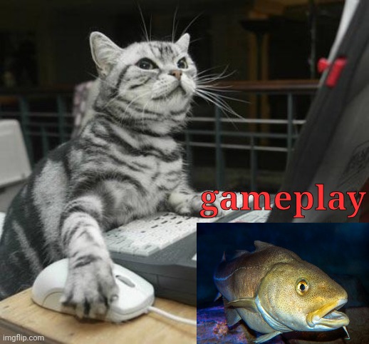 Coding Cat | gameplay | image tagged in coding cat | made w/ Imgflip meme maker