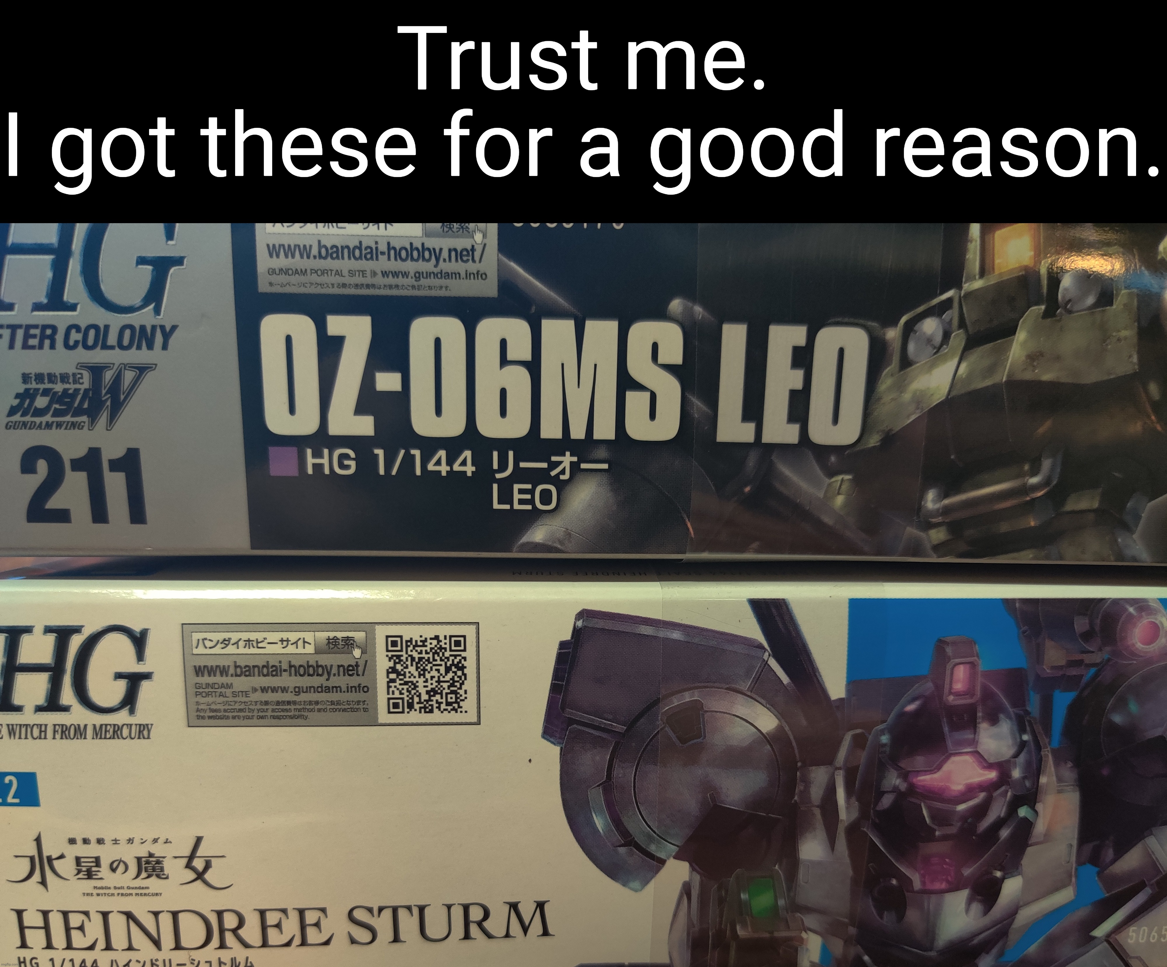 I've built 3 Leos and the heindree sturm was one of my first reviews in this stream | Trust me.
I got these for a good reason. | made w/ Imgflip meme maker