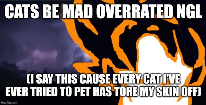 LowTeirGoob | CATS BE MAD OVERRATED NGL; (I SAY THIS CAUSE EVERY CAT I'VE EVER TRIED TO PET HAS TORE MY SKIN OFF) | image tagged in lowteirgoob | made w/ Imgflip meme maker