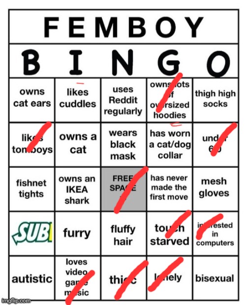 I'm not a frmboy haha | image tagged in femboy bingo | made w/ Imgflip meme maker