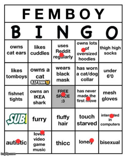 Femboy Bingo | R.I.P Ernie😿 | image tagged in femboy bingo | made w/ Imgflip meme maker
