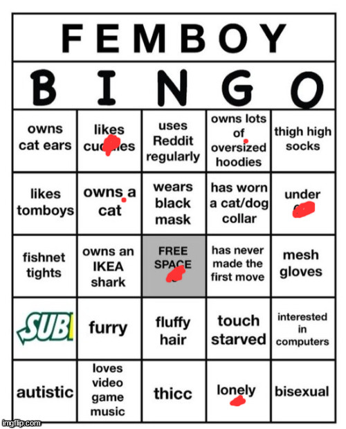 Femboy Bingo | image tagged in femboy bingo | made w/ Imgflip meme maker
