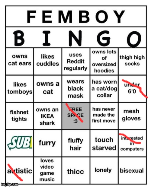 Yay I’m not a femboy | image tagged in femboy bingo | made w/ Imgflip meme maker