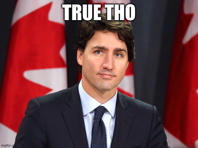 Justin True tho | TRUE THO | image tagged in justin trudeau,justin trudeau crying,trudeau,canada,memes | made w/ Imgflip meme maker