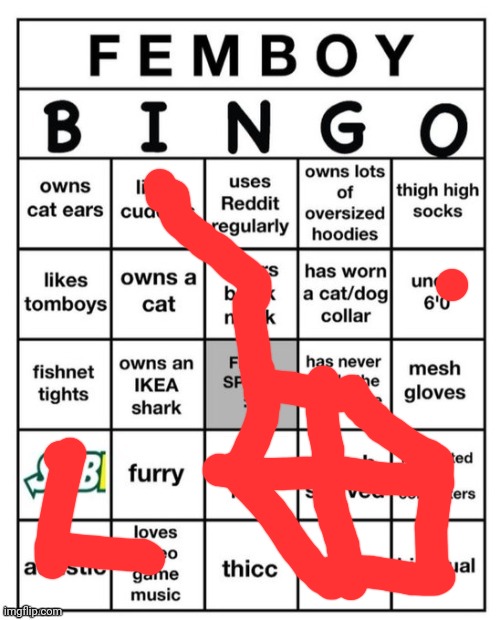Femboy Bingo | image tagged in femboy bingo | made w/ Imgflip meme maker