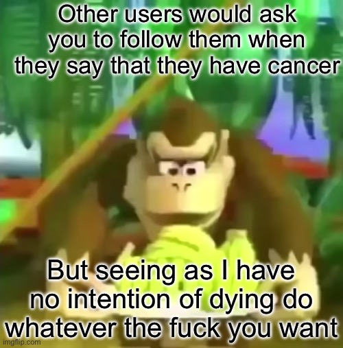 Just vibe and monkey and shit | Other users would ask you to follow them when they say that they have cancer; But seeing as I have no intention of dying do whatever the fuck you want | image tagged in oh these are pretty cool x | made w/ Imgflip meme maker