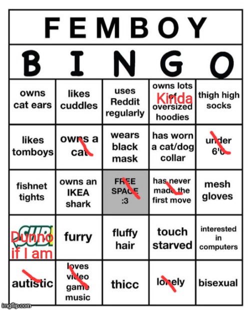 Femboy Bingo | Kinda; Dunno if I am | image tagged in femboy bingo | made w/ Imgflip meme maker