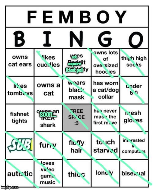 so yeah (also the interest with computers is purely sexual) | not anymore (thank god); soon... | image tagged in femboy bingo | made w/ Imgflip meme maker