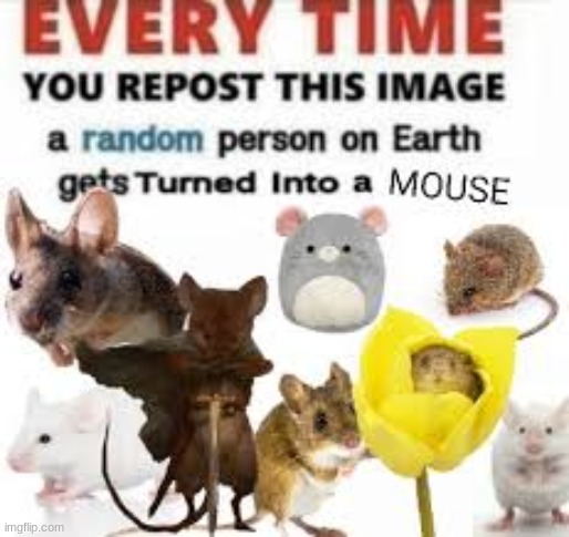 Reject Human! Return to mouse! | image tagged in mouse,i,love,rats | made w/ Imgflip meme maker