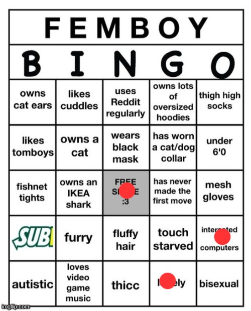 Femboy Bingo | image tagged in femboy bingo | made w/ Imgflip meme maker