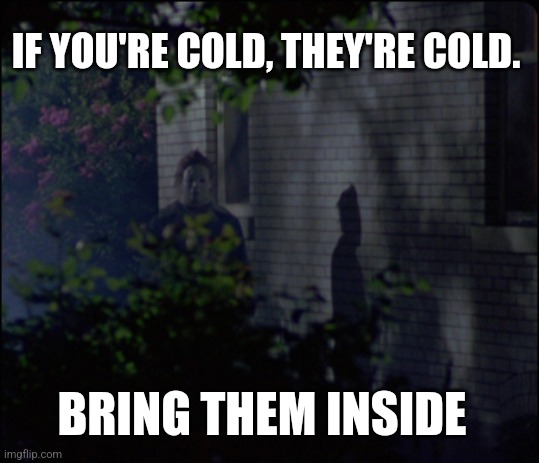 IF YOU'RE COLD, THEY'RE COLD. BRING THEM INSIDE | image tagged in funny memes | made w/ Imgflip meme maker