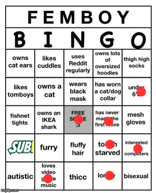 Femboy Bingo | image tagged in femboy bingo | made w/ Imgflip meme maker