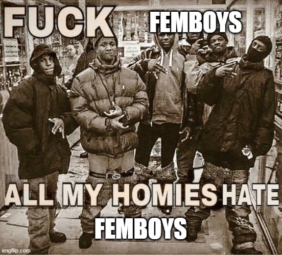 All My Homies Hate | FEMBOYS FEMBOYS | image tagged in all my homies hate | made w/ Imgflip meme maker