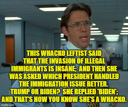 They don't THINK . . . they just emote. | THIS WHACKO LEFTIST SAID THAT THE INVASION OF ILLEGAL IMMIGRANTS IS INSANE;  AND THEN SHE WAS ASKED WHICH PRESIDENT HANDLED THE IMMIGRATION ISSUE BETTER.  TRUMP OR BIDEN?  SHE REPLIED 'BIDEN'; AND THAT'S HOW YOU KNOW SHE'S A WHACKO. | image tagged in that would be great | made w/ Imgflip meme maker