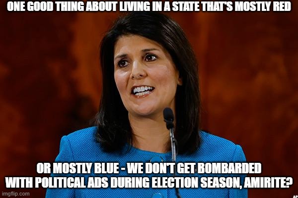 Mostly Red or Mostly Blue | ONE GOOD THING ABOUT LIVING IN A STATE THAT'S MOSTLY RED; OR MOSTLY BLUE - WE DON'T GET BOMBARDED WITH POLITICAL ADS DURING ELECTION SEASON, AMIRITE? | image tagged in nikki haley,avoiding ads,elections | made w/ Imgflip meme maker