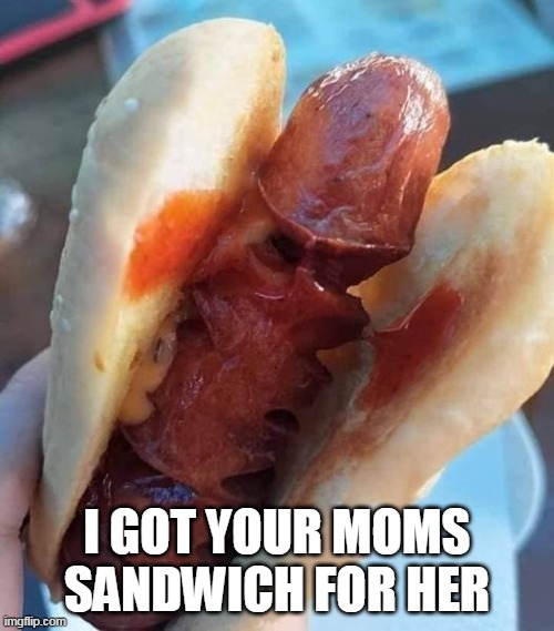 I got your moms sandwich for her | I GOT YOUR MOMS SANDWICH FOR HER | image tagged in hotdog,fun,sandwich,sausage,moms,dick | made w/ Imgflip meme maker