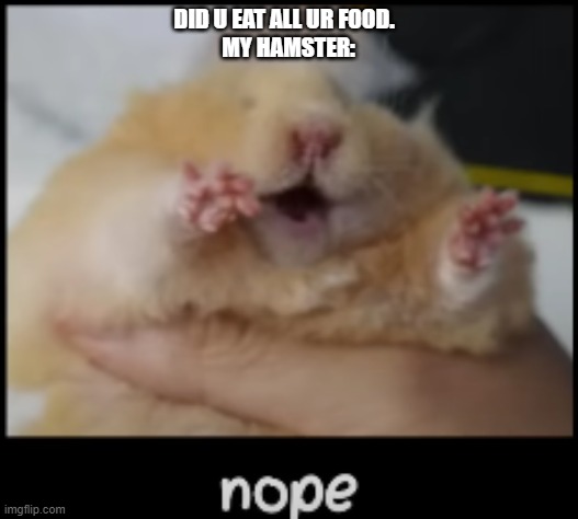 nope hamter | DID U EAT ALL UR FOOD.  
MY HAMSTER: | image tagged in nope hamter | made w/ Imgflip meme maker