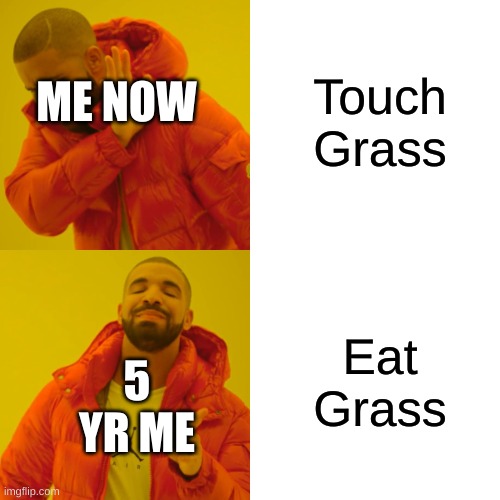 i only ate soap | Touch Grass; ME NOW; Eat Grass; 5 YR ME | image tagged in memes,drake hotline bling | made w/ Imgflip meme maker