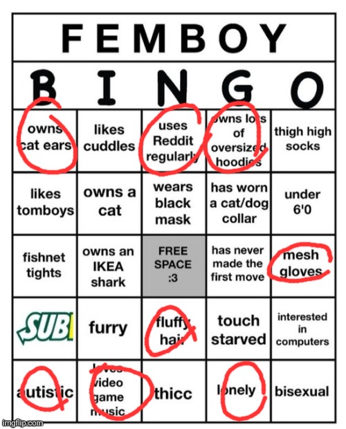 Femboy Bingo | image tagged in femboy bingo | made w/ Imgflip meme maker