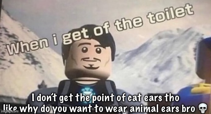 when I get of the toilet | I don’t get the point of cat ears tho like why do you want to wear animal ears bro 💀 | image tagged in when i get of the toilet | made w/ Imgflip meme maker