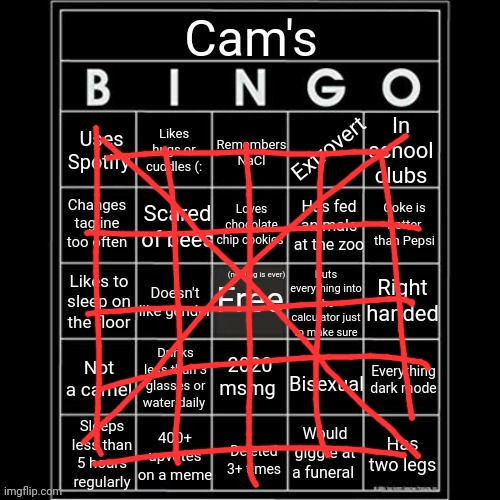 Look look I made one | image tagged in iaintacamel's bingo | made w/ Imgflip meme maker