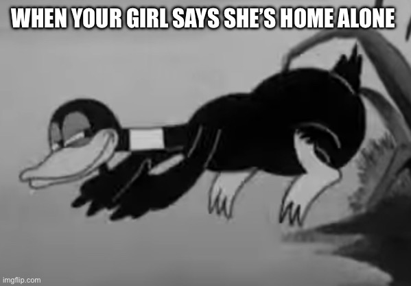 Smug Daffy Duck | WHEN YOUR GIRL SAYS SHE’S HOME ALONE | image tagged in daffy duck,smug | made w/ Imgflip meme maker