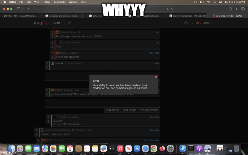 WHYwhyWHY | WHYYY | image tagged in whywhywhy | made w/ Imgflip meme maker