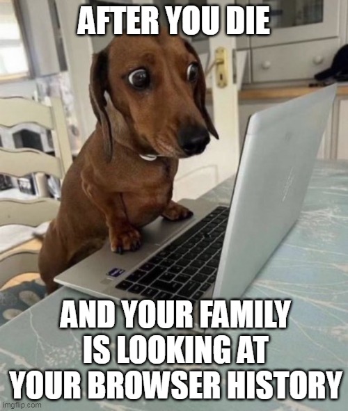 your family is looking at your browser history | AFTER YOU DIE; AND YOUR FAMILY IS LOOKING AT YOUR BROWSER HISTORY | image tagged in dog,fun,internet history,family,surprise,browser history | made w/ Imgflip meme maker