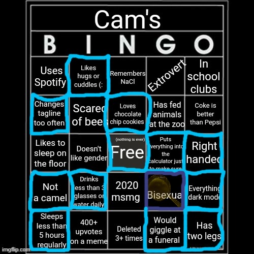 my real name is cam lmao | image tagged in iaintacamel's bingo | made w/ Imgflip meme maker