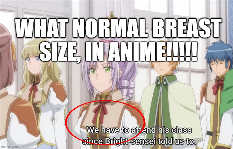 NORMAL BEWB SIZE IN ANIME????? | WHAT NORMAL BREAST SIZE, IN ANIME!!!!! | image tagged in impossible,nani,excuse me what | made w/ Imgflip meme maker