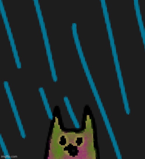 POV: Very smol kitten in the rain | made w/ Imgflip meme maker