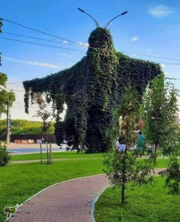 Mothman Blank Meme Template