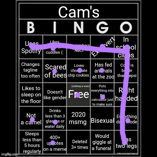 i jus like cam fr | image tagged in iaintacamel's bingo | made w/ Imgflip meme maker