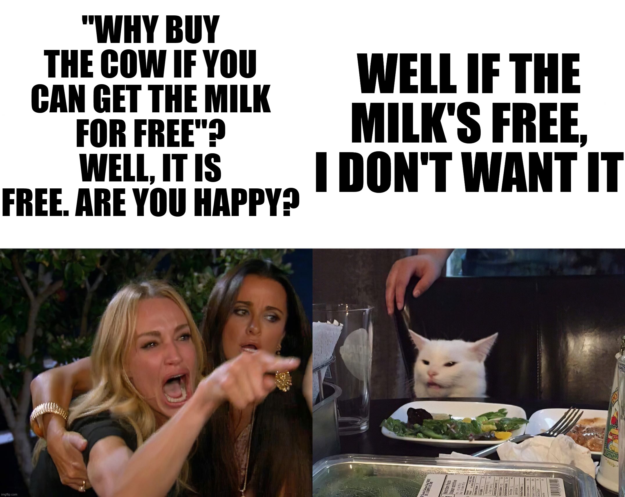 Hook-up Culture Effects | WELL IF THE MILK'S FREE, I DON'T WANT IT; "WHY BUY THE COW IF YOU CAN GET THE MILK FOR FREE"? WELL, IT IS FREE. ARE YOU HAPPY? | image tagged in woman yelling at a cat hd,damn,oh no | made w/ Imgflip meme maker