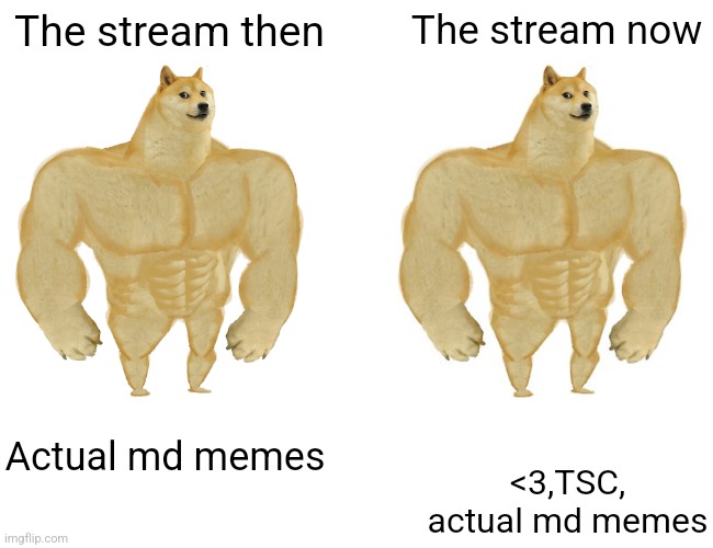 Buff Doge vs. Cheems | The stream then; The stream now; Actual md memes; <3,TSC, actual md memes | image tagged in memes,buff doge vs cheems | made w/ Imgflip meme maker