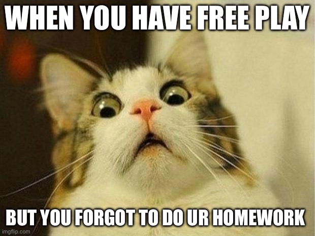 Scared Cat | WHEN YOU HAVE FREE PLAY; BUT YOU FORGOT TO DO UR HOMEWORK | image tagged in memes,scared cat | made w/ Imgflip meme maker