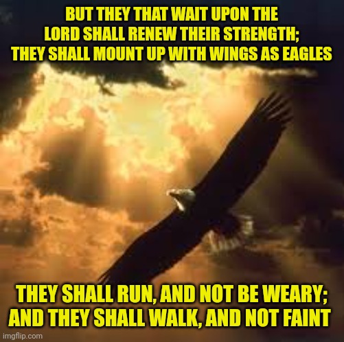 soaring eagle | BUT THEY THAT WAIT UPON THE LORD SHALL RENEW THEIR STRENGTH; THEY SHALL MOUNT UP WITH WINGS AS EAGLES; THEY SHALL RUN, AND NOT BE WEARY; AND THEY SHALL WALK, AND NOT FAINT | image tagged in soaring eagle | made w/ Imgflip meme maker