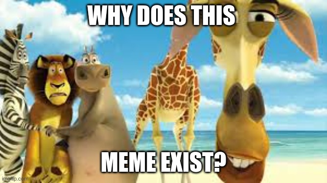 WHY DOES THIS MEME EXIST? | made w/ Imgflip meme maker