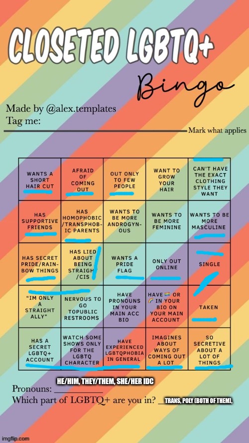 Closeted LGBTQ+ Bingo | HE/HIM, THEY/THEM, SHE/HER IDC; TRANS, POLY (BOTH OF THEM), | image tagged in closeted lgbtq bingo | made w/ Imgflip meme maker